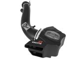 AFE Pro-Dry S Intake